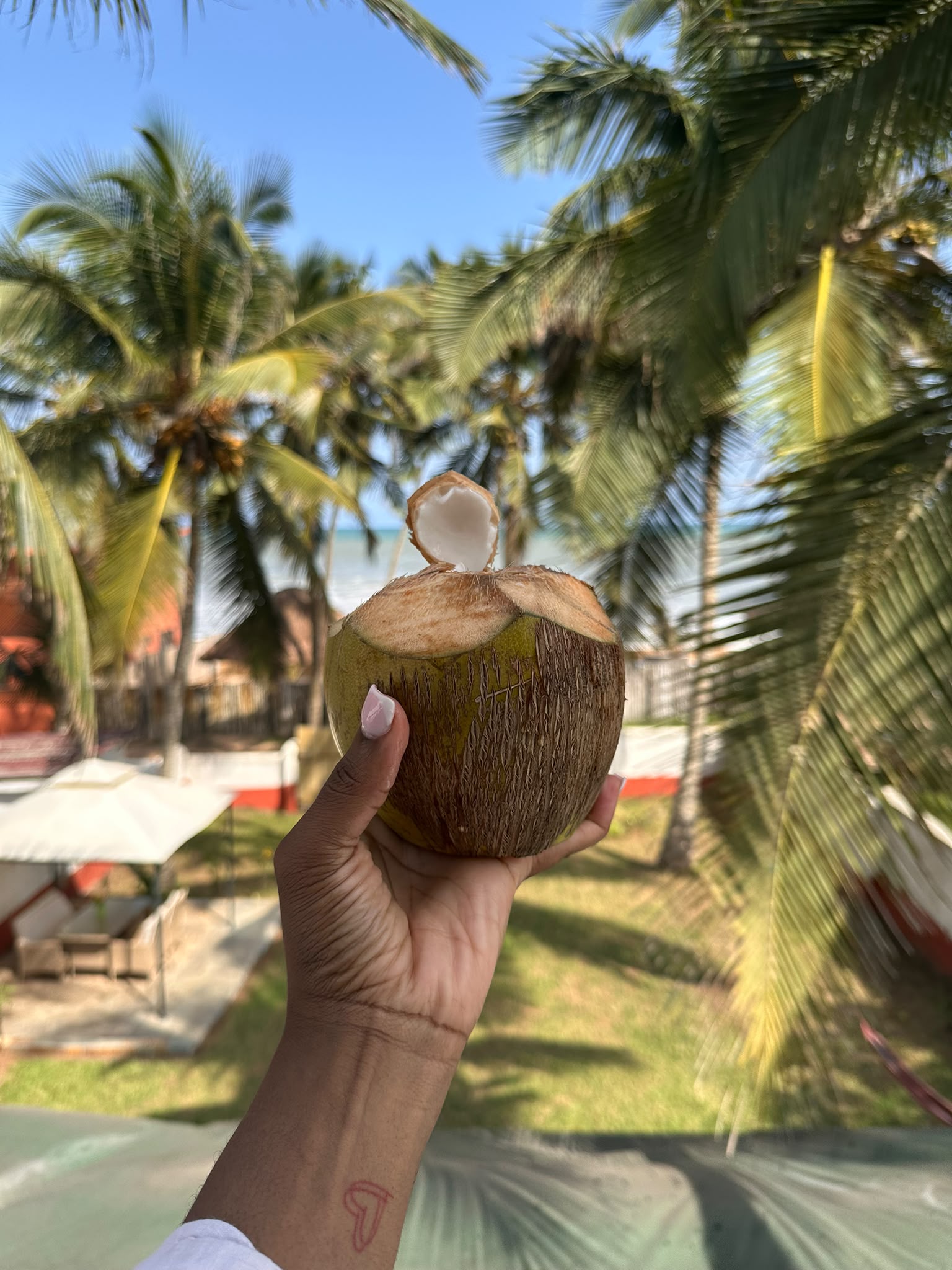 Fresh coconut